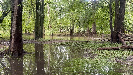 Buck Creek Watershed