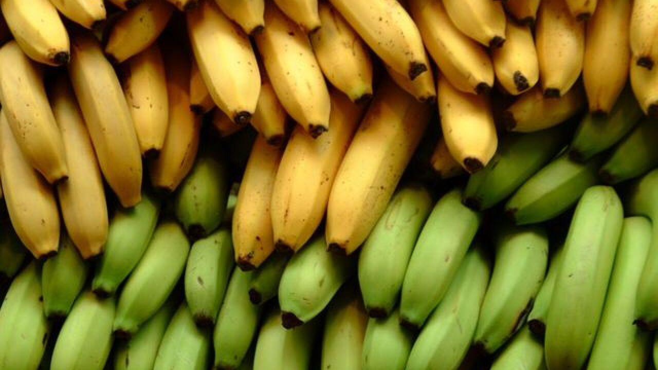 bananas