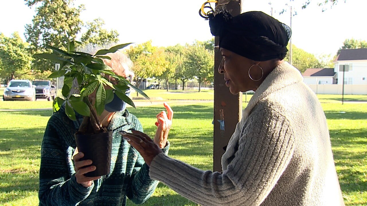 tree of life still 3.jpg