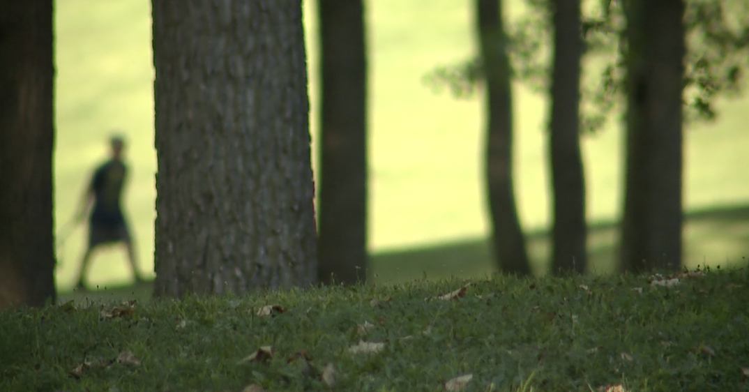 Boardman Park in Taylor