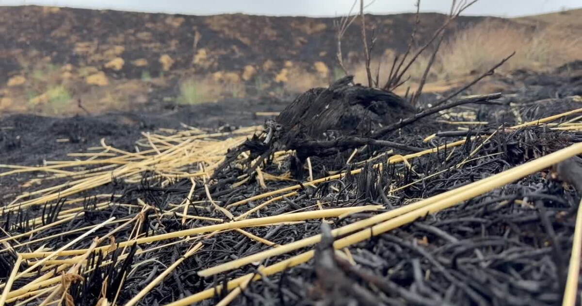 'We know its coming': Weiser neighbors turn attention from wildfires to flash floods