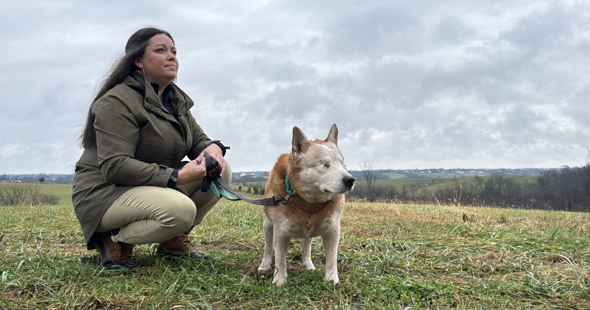 Meet Goose, the no‑eyed Kentucky farm dog competing for People’s Choice Pup