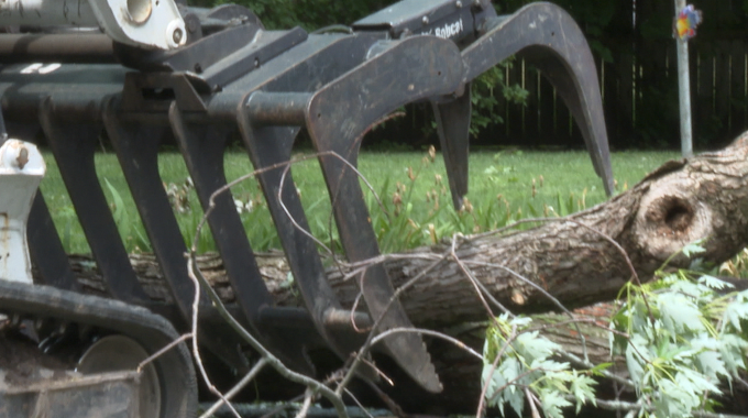 storm damage tree removal