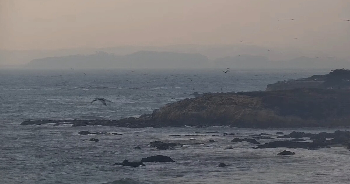 Central Coast is dealing with those hazy, smoky skies but clearing is coming - Vimarsana News