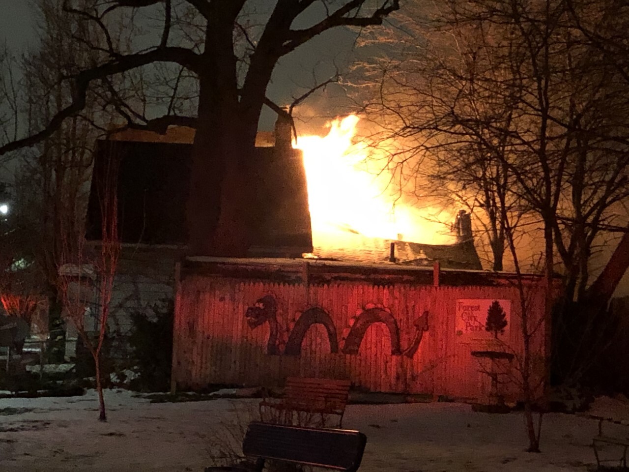 thumbnail_Image (91).jpg