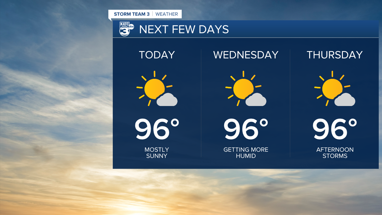 Vert Planner 3 - Daypart.png