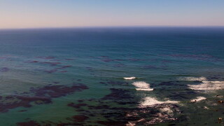 ocean.jpg