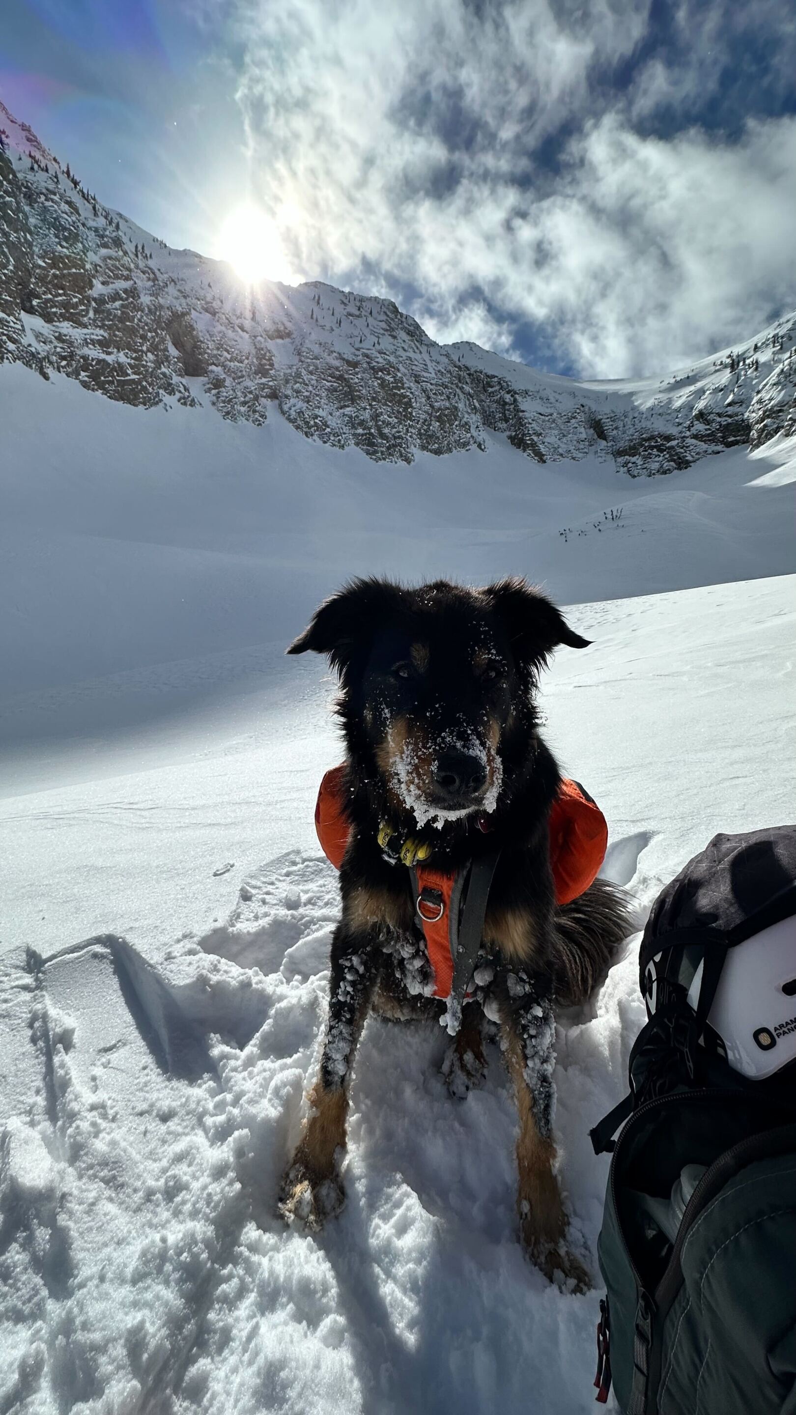 CO Avalanche Survivor Determined To Find Dog Missing Since March 17 Slide co-avalanche-survivor-determined-to-find-dog-missing-since-march-17-slide