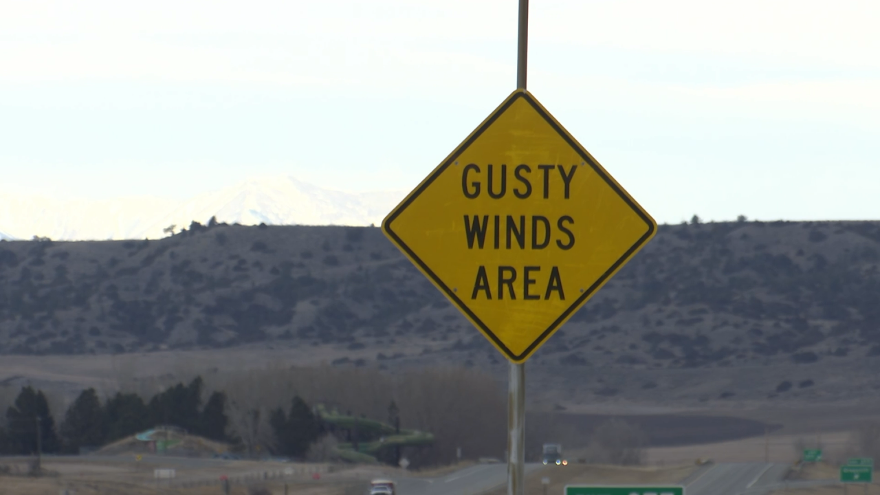 Livingston wind gusts 