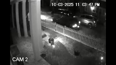 Police continue search for suspect in fatal hit-and-run: Woman killed