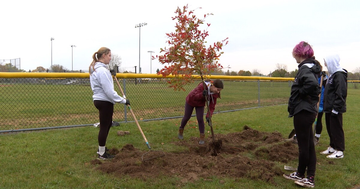 Tool Library tree planting in Buffalo - Vimarsana News