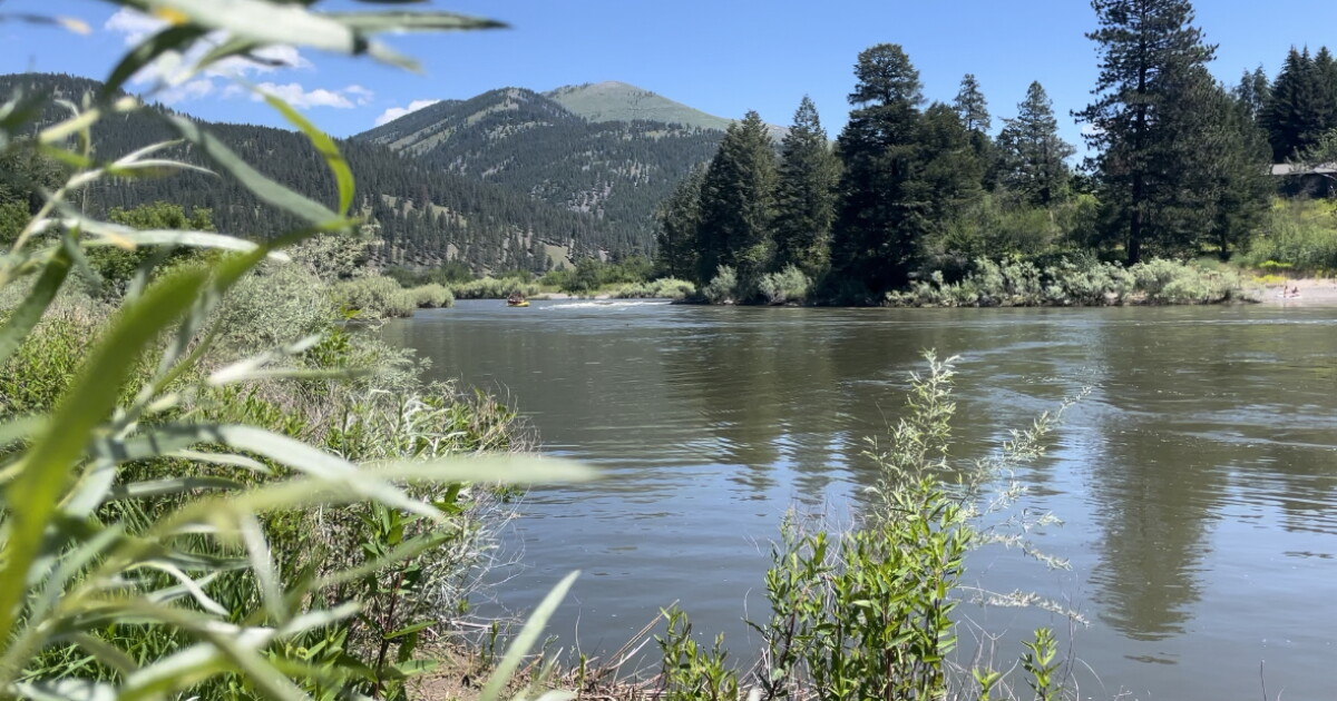 Investigation continues into claims that Clark Fork River dangerous to dogs - Vimarsana News