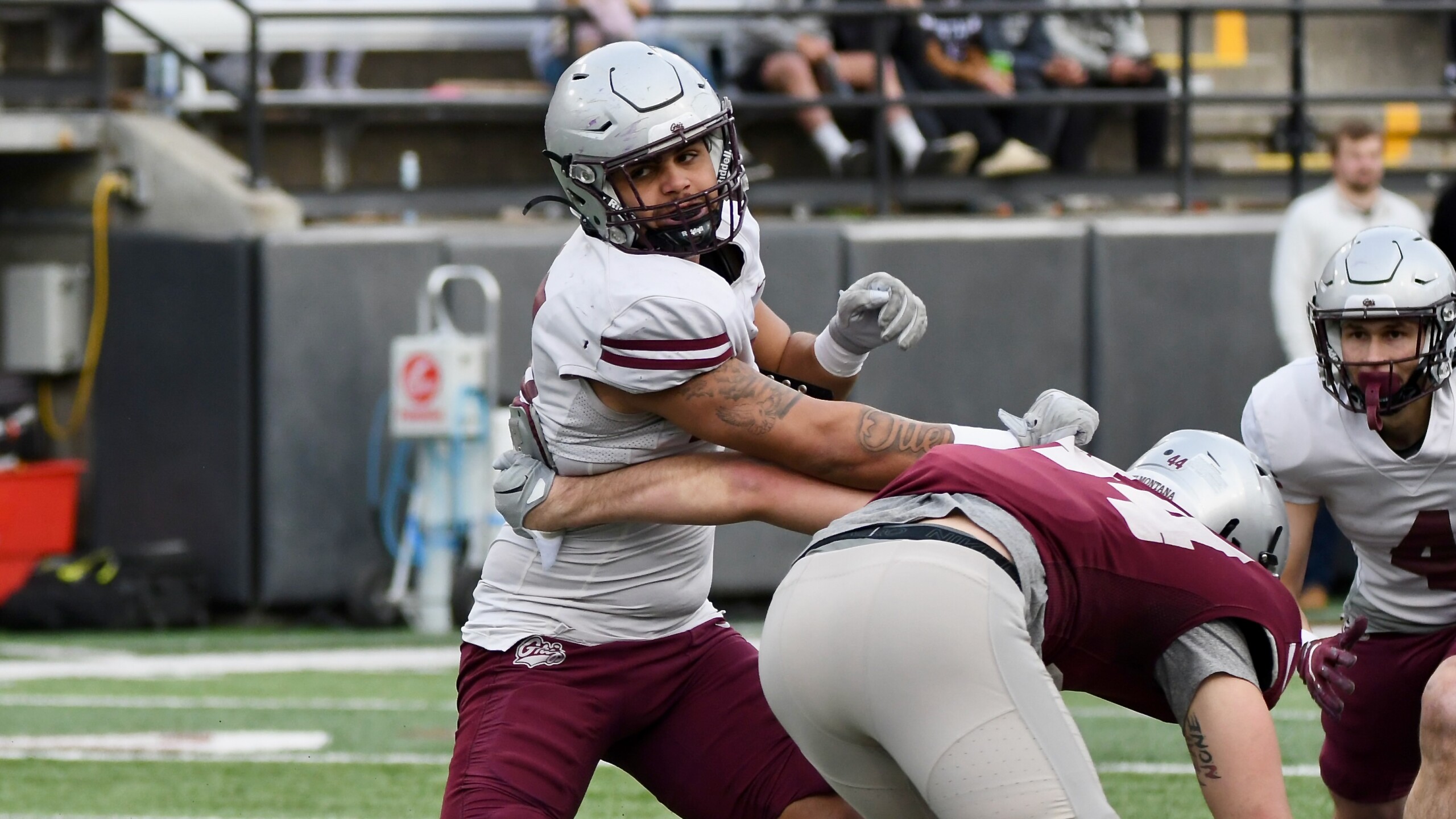 2025 Montana Grizzlies spring game