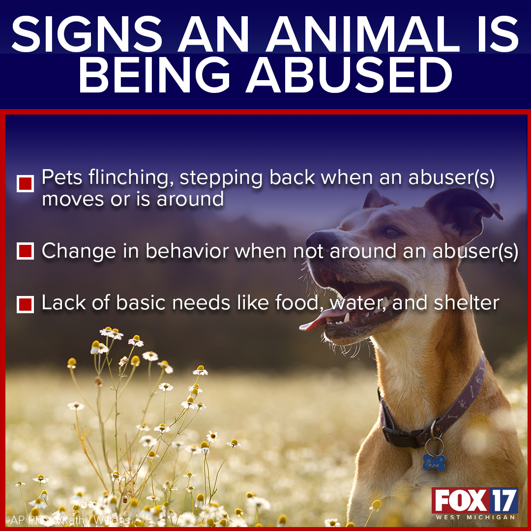 MEME_Signs_Of_Animal_Abuse.png