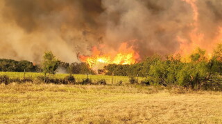 Evant Wildfire