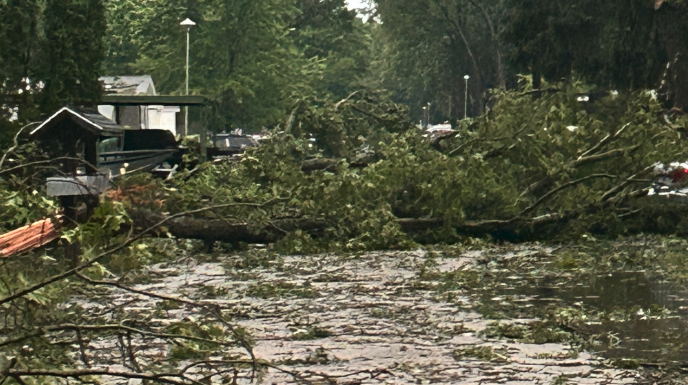 timberline estates storm damage