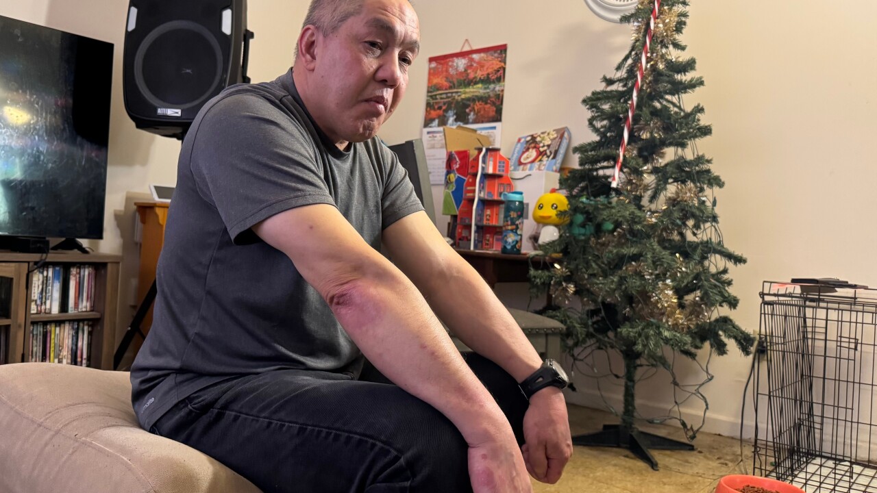 Immigration Enforcement Minnesota