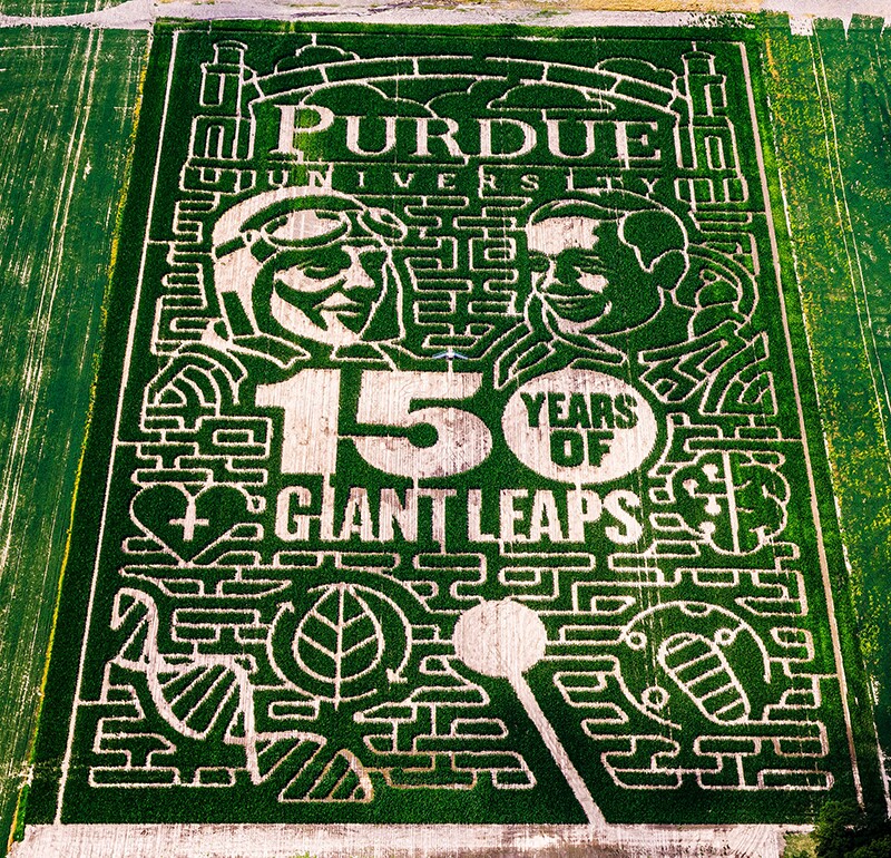 purdue corn maze.jpg