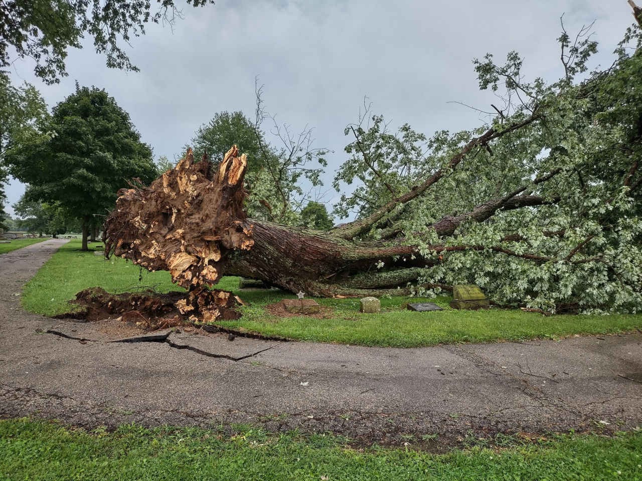 Milford Township Darrtown Cemetery Tree Uprooted