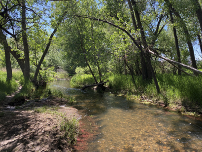 City of Lafayette open space Coal Creek corridor