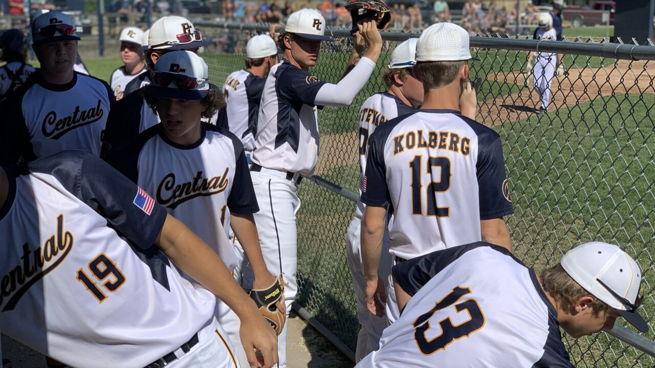 Portage Central baseball wins district title