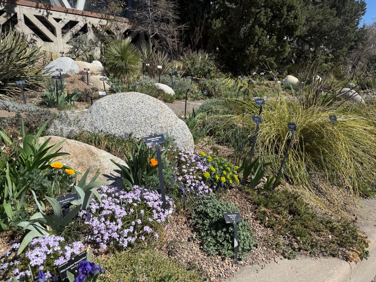 Water smart garden.jpeg