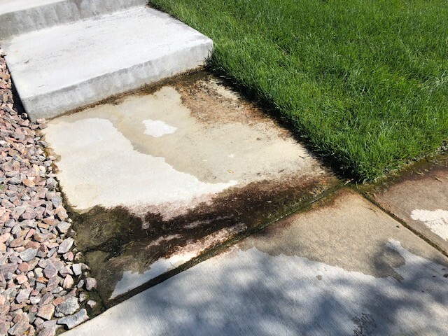 Drainage Issue