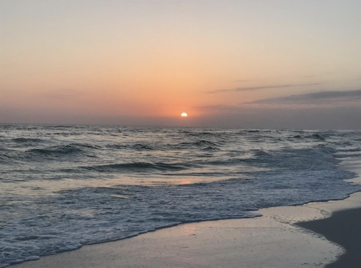 Screen Shot 2020-09-16 at 3.04.40 PM.png