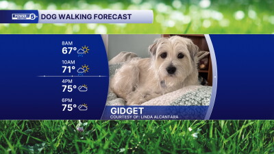 Gidget