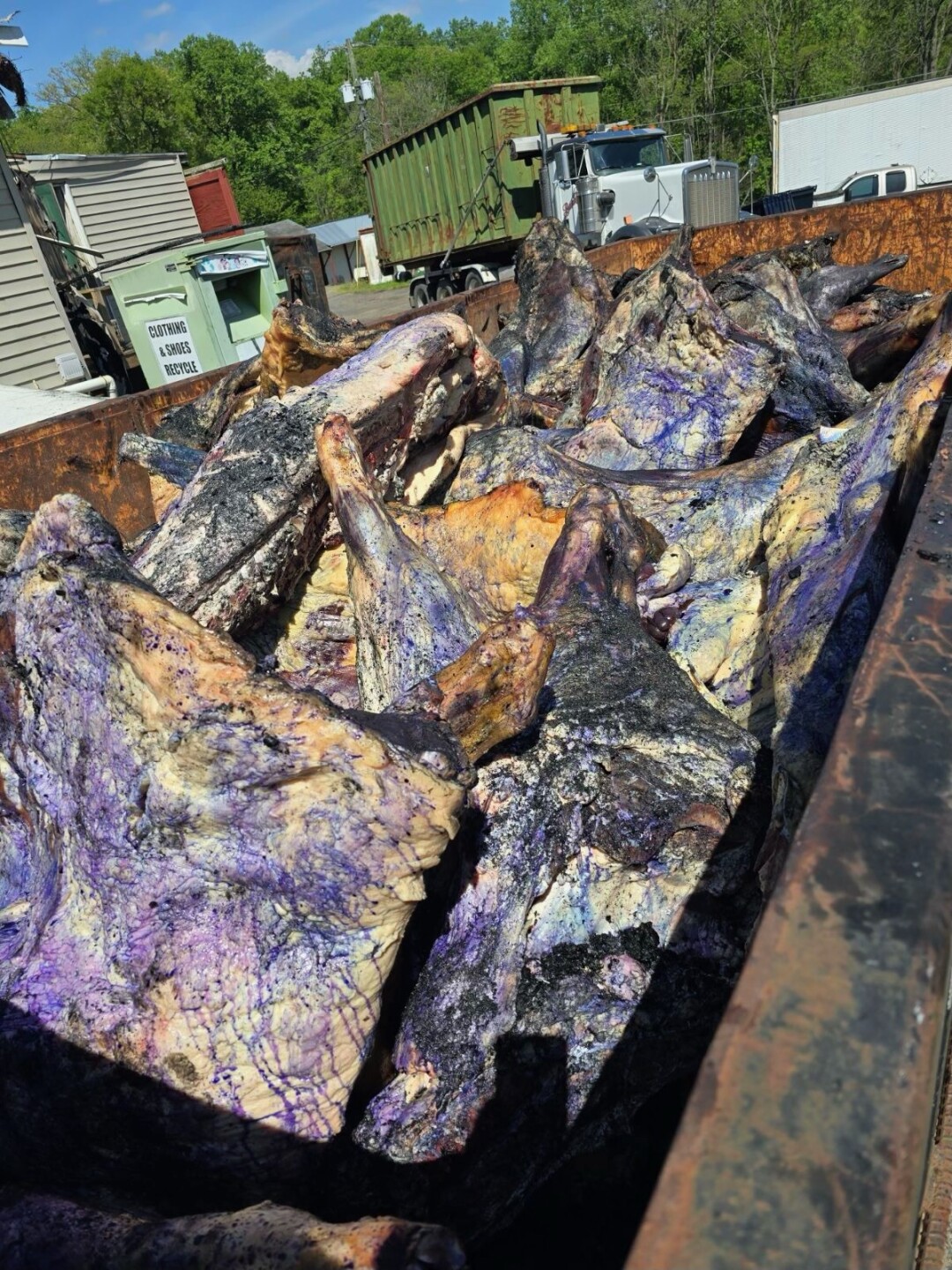 Recovery efforts .jpeg