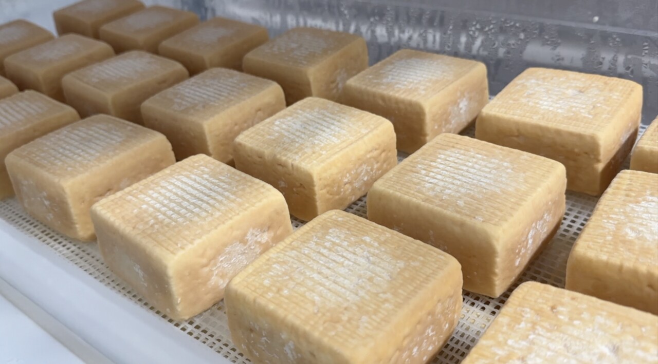 Cheese inside Tulip Tree Creamery