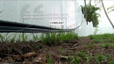 Comcast cable lines down in PSL
