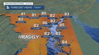 muggy.jpg