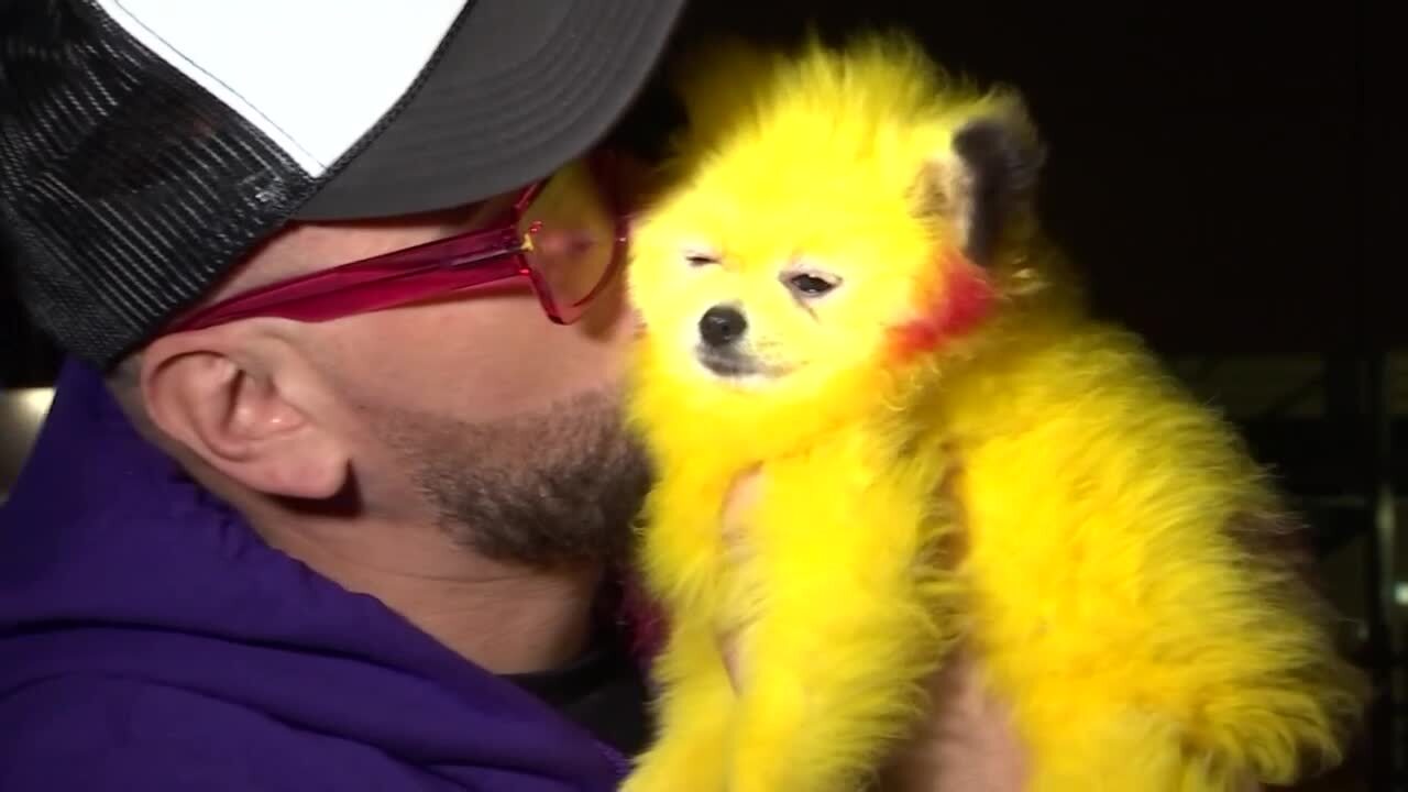 Erik Torres kisses his dog dyed to look like Pikachu