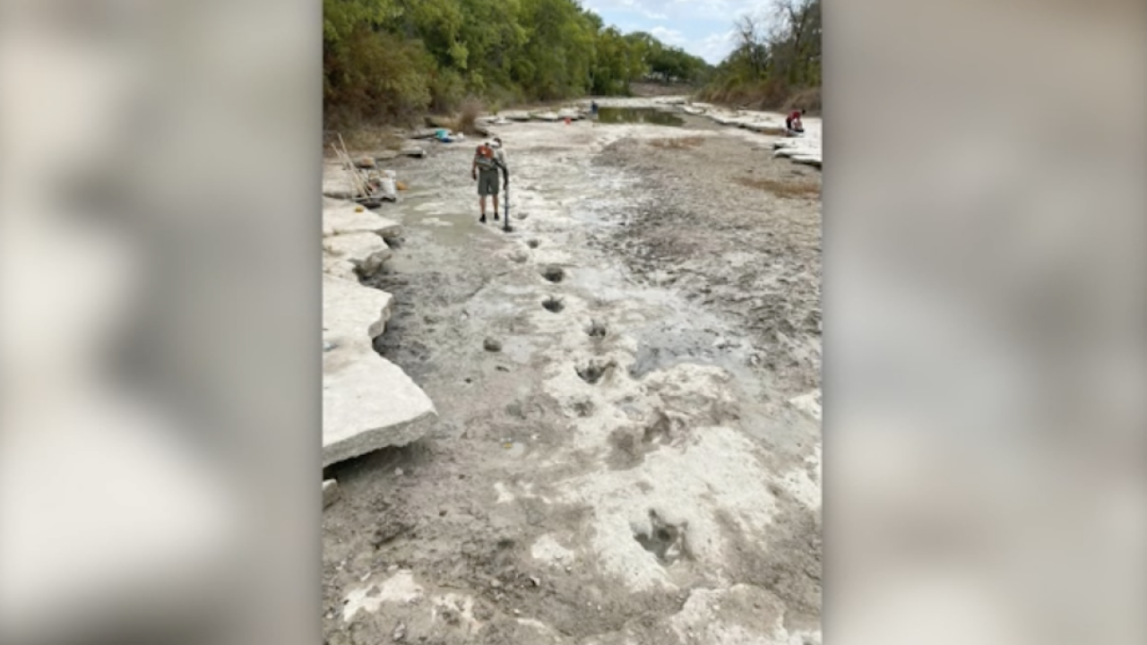 Screen Shot 2022-08-25 at 9.19.53 AM.png