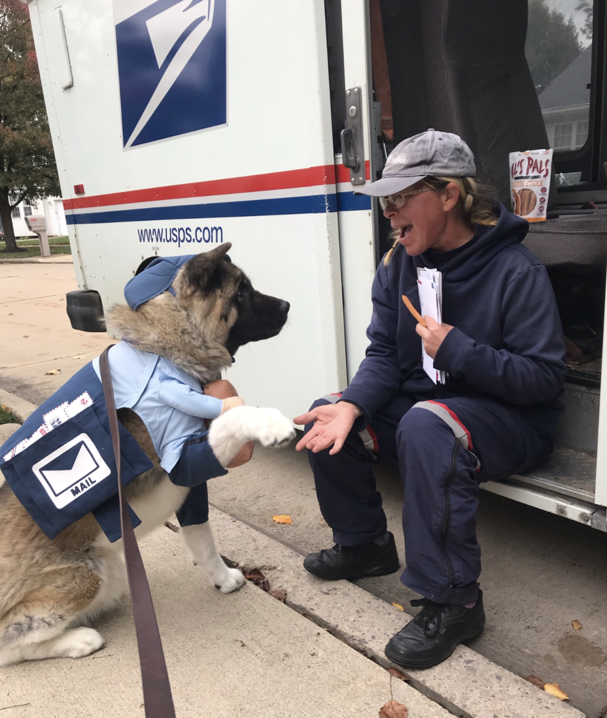 Cleveland Mail Carrier meets dog dressed like her 