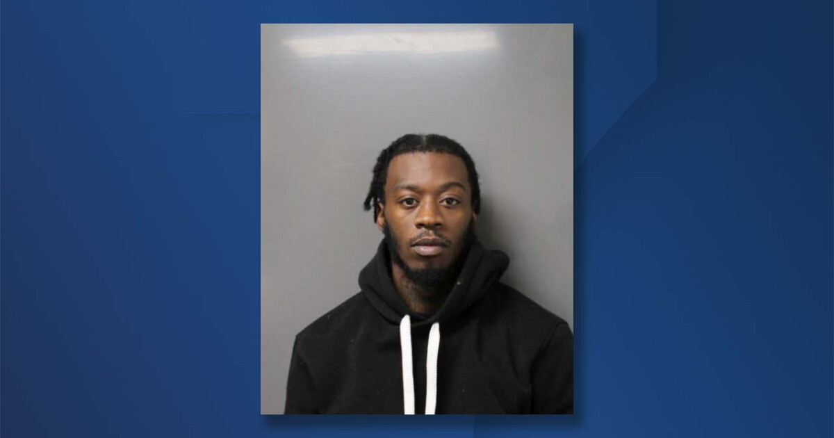 Man pleads guilty to animal cruelty charges after dog fighting ...