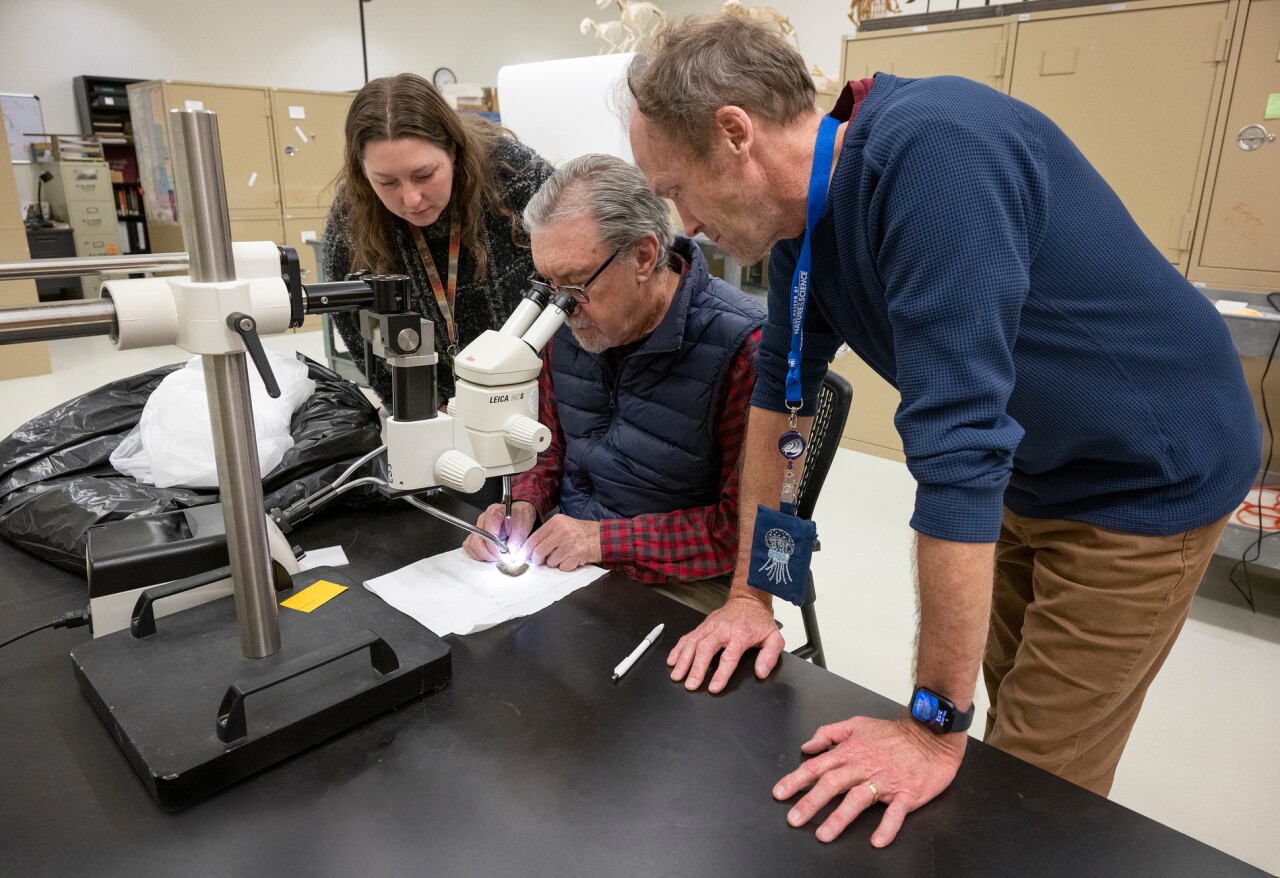 Researchers at Denver Museum of Nature and Science looking at ornithopod vertebra from the Denver Formation. Left to Right: S. Augusta Maccracken; David Krause; Patrick O'Connor.