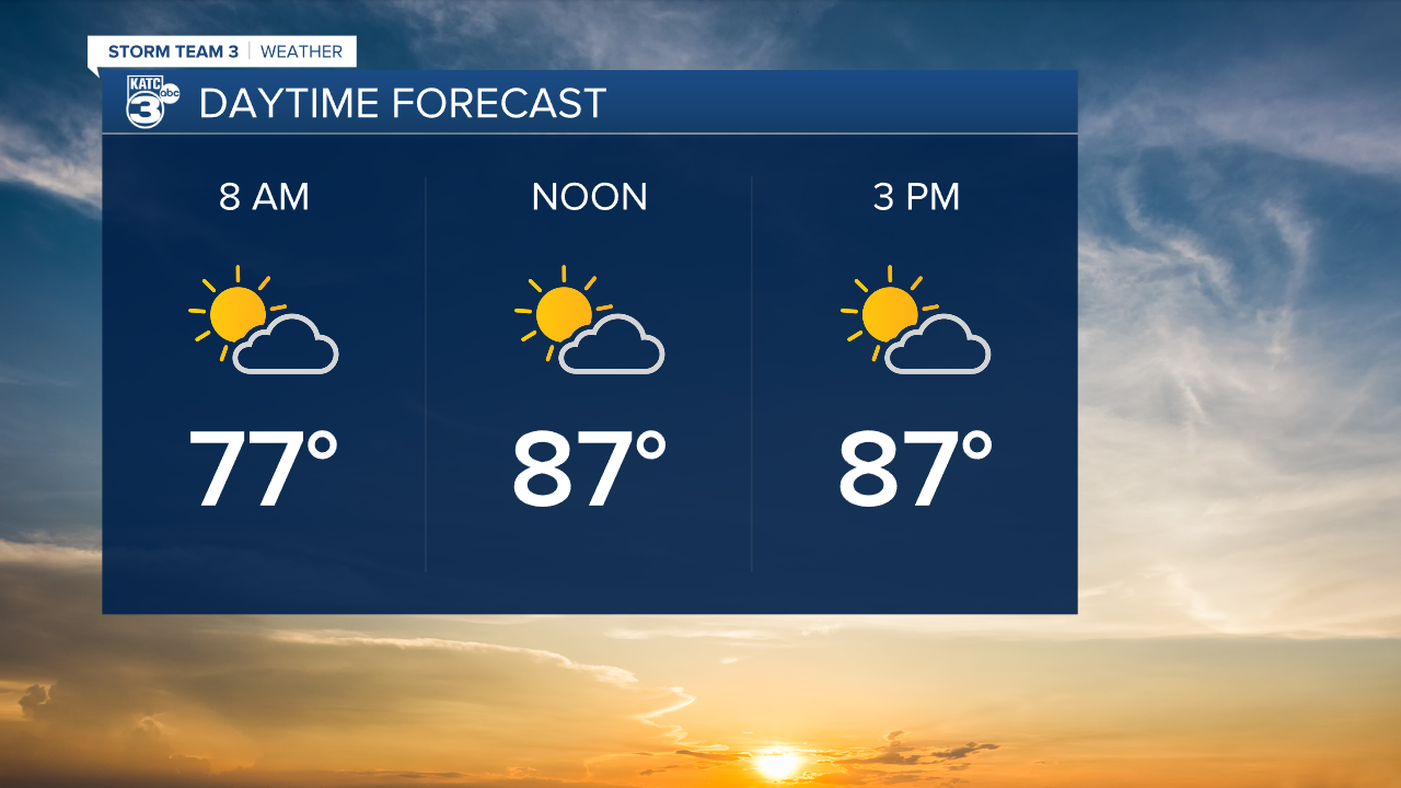 Vert Planner 3 - Hourly.png