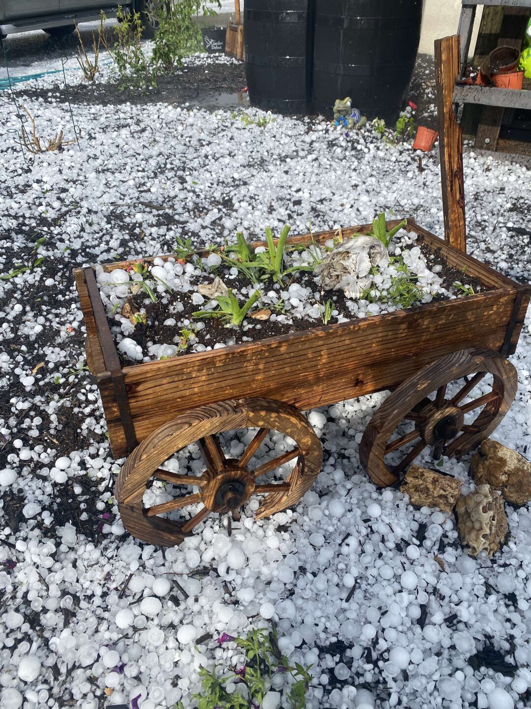 Osawatomie hail 2.jpeg