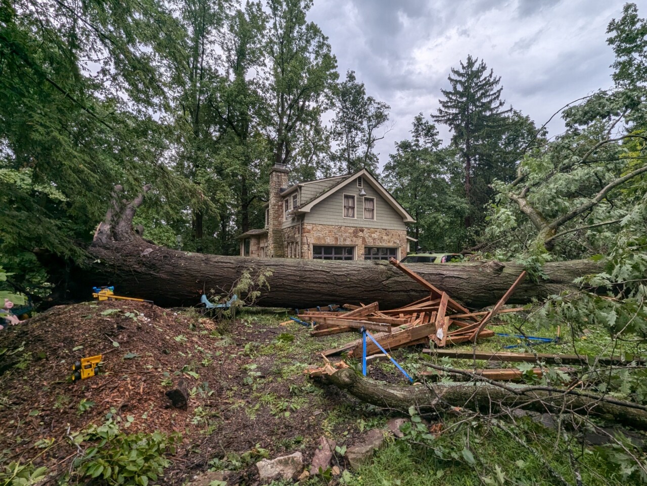 thumbnail_PXL_20240806_221218954 (1).jpg