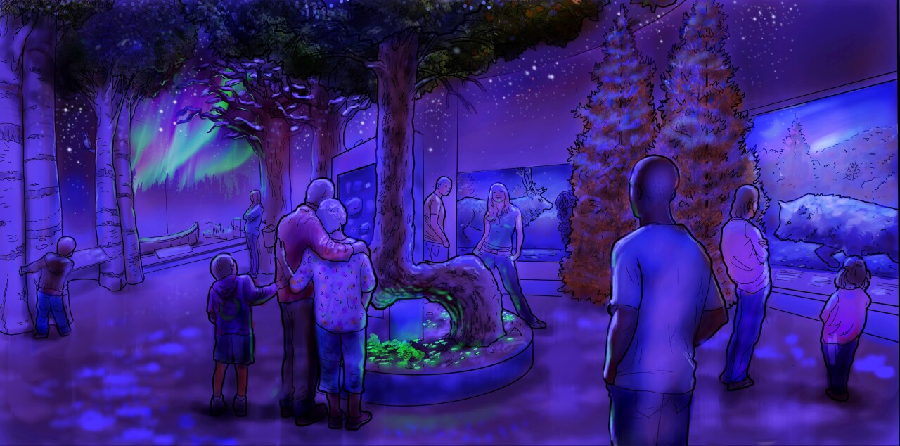 Northwoods Night.jpg