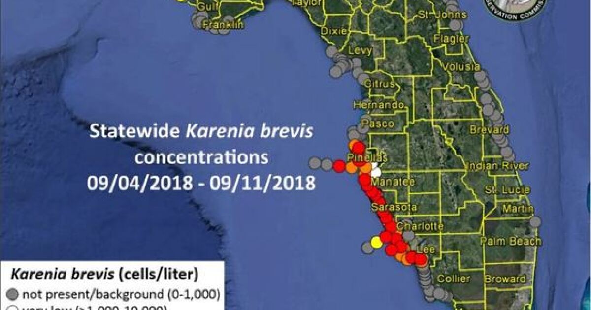 Red Tide Persisting From Lee County Northward Red Tide Pinellas County 2022 Map