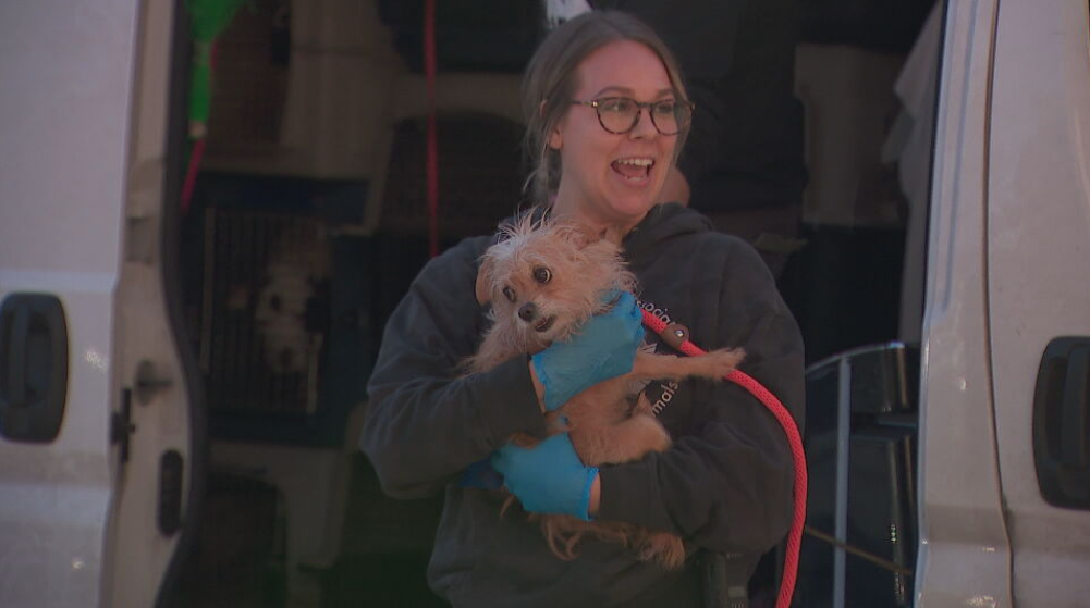 Screen Shot 2022-10-07 at 12.52.21 PM.png