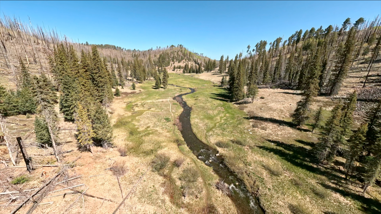 Thompson Trail 629 in Greer.png