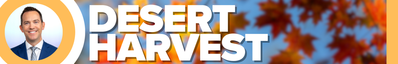 Fall Season Justin Bruce 2025