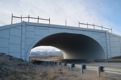 wildlife crossing highway 9