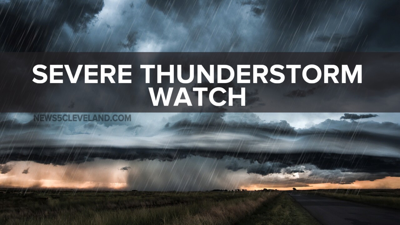 SEVERE THUNDERSTORM WATCH 