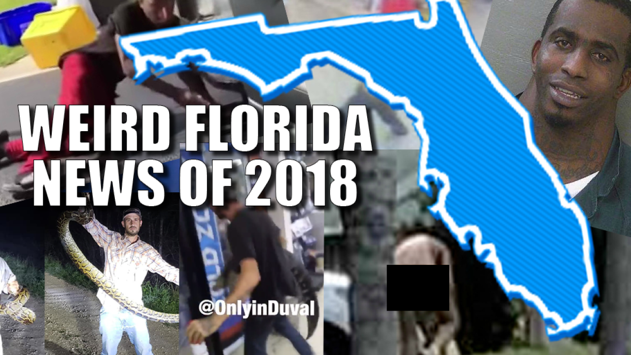 Florida stories that made us laugh, cry or say oh my! The weirdest news