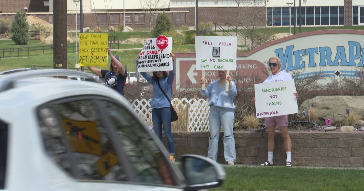 Protests break out in Billings as Jordan World Circus performs at the Metra - Vimarsana News